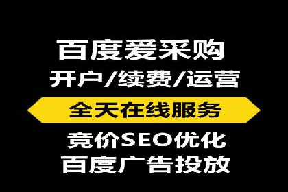 某品牌SEM广告投放的ROI提升案例
